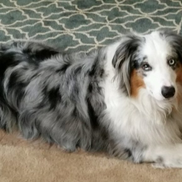 Meet your Posher, Patrice - Picture 3 of 13